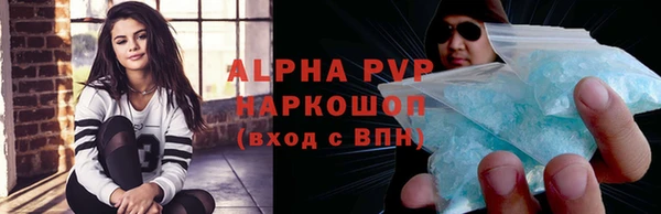 СК Алексин