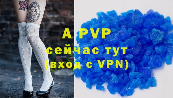 СК Алексин