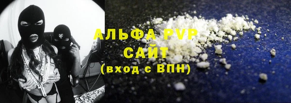 СК Алексин