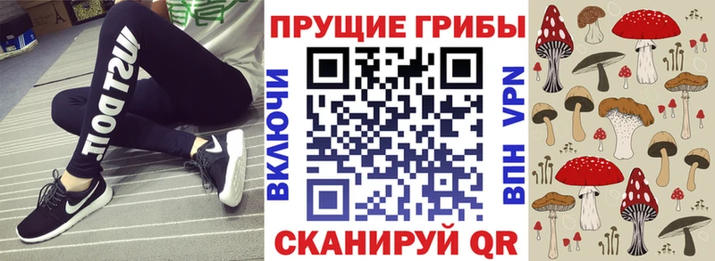 Псилоцибиновые грибы мухоморы  сайты даркнета наркотические препараты  Киржач  наркошоп 